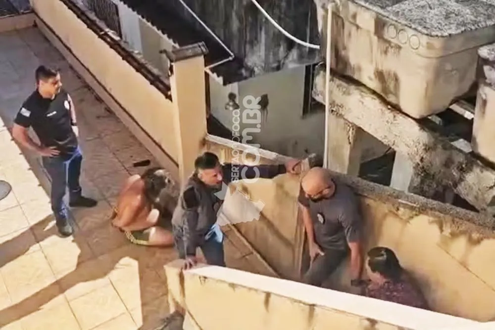 Foto: Divulgação
