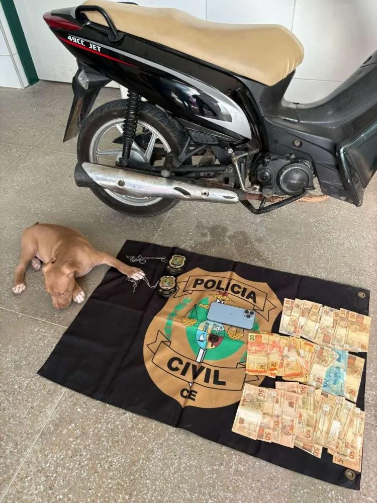Foto: Divulgação