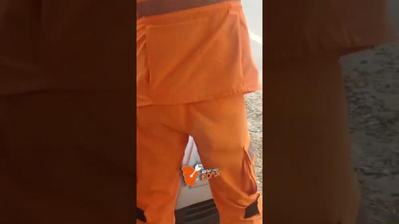 Corpo de Bombeiros resgata jiboia de dentro do motor de carro em Canindé